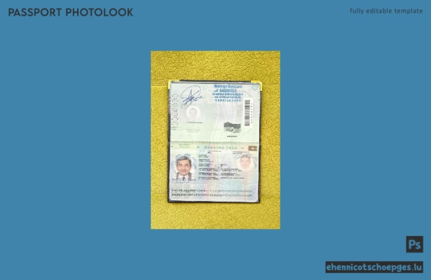 Burkina Faso Pass 2008-2018 Foto-Beispielvorschau